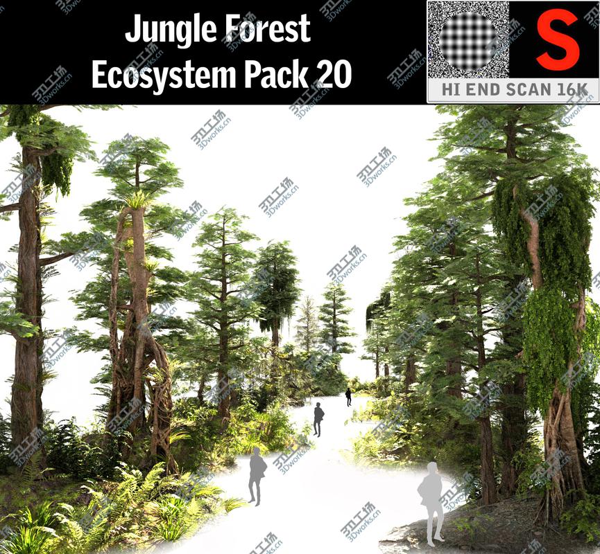 images/goods_img/20210113/Jungle Forest  Ecosystem Pack 20 3D model/1.jpg